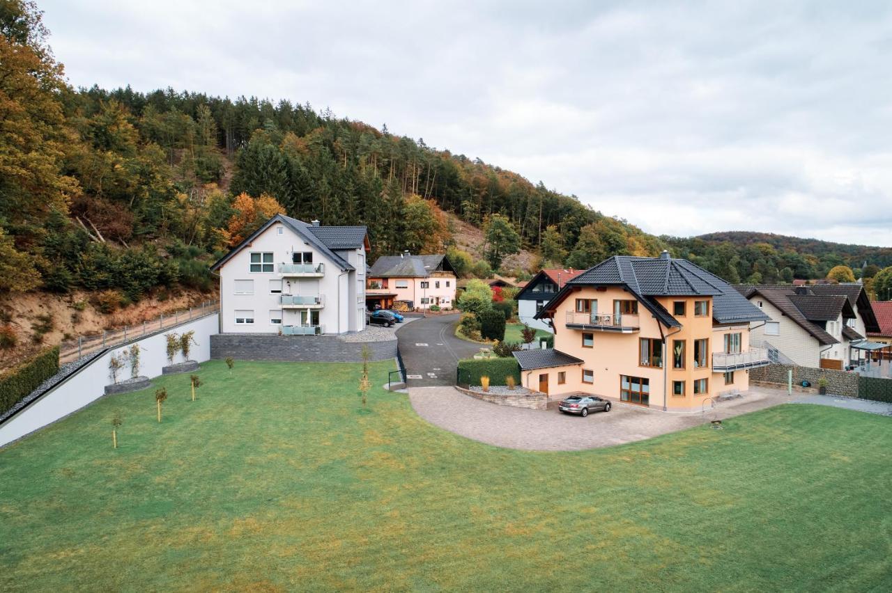Apartamento Deluxe - Nationalpark - Gross, Erholsam, Familienfreundlich, Extras Ellweiler Exterior foto